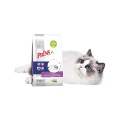 Prins VitalCare Gastro-Intestinal Low Fat 13 Prins VitalCare Gastro-Intestinal Low Fat -Premium Dierenwinkel prins vitalcare gastro intestinal low fat 172582 1500 none