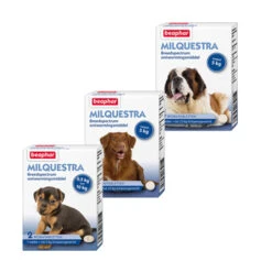 Beaphar Milquestra Hond -Premium Dierenwinkel product beaphar milquestra hond none 4 1463566026 68931