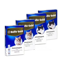 Bolfo Gold Kat -Premium Dierenwinkel product bolfo gold kat none 4 1467098417 70443