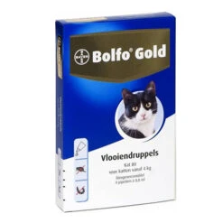 Bolfo Gold Kat -Premium Dierenwinkel product bolfo gold kat none 4 1467098447 70455