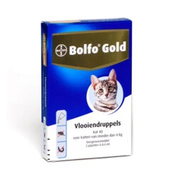 Bolfo Gold Kat -Premium Dierenwinkel product bolfo gold kat none 4 1467098577 70458