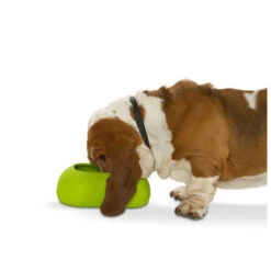 Buster Incredibowl -Premium Dierenwinkel product buster incredibowl none 4 1479720007 80827