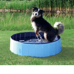 Trixie Dog Pool -Premium Dierenwinkel product trixie dog pool none 4 1495792779 86689