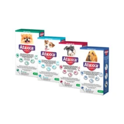 Ataxxa -Premium Dierenwinkel qHDDj8RGq0OyrQuWaFNULOZfRk2Hi6 metaQXRheHhhLU92ZXJ6aWNodHNmb3RvLUpwZy5qcGc