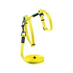 Rogz Beltz - AlleyCat Tuig & Lijn -Premium Dierenwinkel rogz beltz alleycat tuig lijn 110560 0500 none