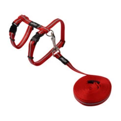 Rogz Beltz - AlleyCat Tuig & Lijn -Premium Dierenwinkel rogz beltz alleycat tuig lijn 110566 0500 none