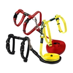 Rogz Beltz - AlleyCat Tuig & Lijn -Premium Dierenwinkel rogz beltz alleycat tuig lijn 119968 0500 none 2