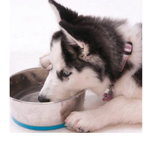 Rogz Slurp Bowlz 10 Rogz Slurp Bowlz - Afbeelding 10