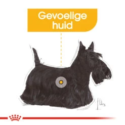 Royal Canin Dermacomfort Wet - Hondenvoer 15 Royal Canin Dermacomfort Wet - Hondenvoer -Premium Dierenwinkel royal canin dermacomfort wet hondenvoer 131624 1000 none