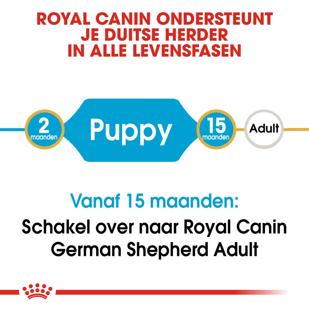 Royal Canin German Shepherd Puppy- Hondenvoer 8 Royal Canin German Shepherd Puppy- Hondenvoer - Afbeelding 8