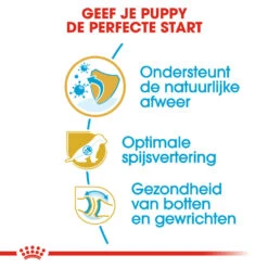 Royal Canin German Shepherd Puppy- Hondenvoer 16 Royal Canin German Shepherd Puppy- Hondenvoer -Premium Dierenwinkel royal canin german shepherd puppy hondenvoer 138835 1000 none