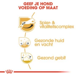 Royal Canin Jack Russell Terrier Adult - Hondenvoer -Premium Dierenwinkel royal canin jack russell terrier adult hondenvoer 139087 1000 none