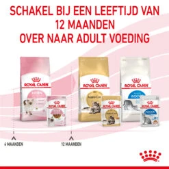 Royal Canin Kitten In Gravy - Kattenvoer 20 Royal Canin Kitten In Gravy - Kattenvoer -Premium Dierenwinkel royal canin kitten in gravy kattenvoer 207098 2000 none