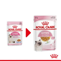 Royal Canin Kitten In Jelly - Kattenvoer 15 Royal Canin Kitten In Jelly - Kattenvoer -Premium Dierenwinkel royal canin kitten in jelly kattenvoer 207116 2000 none