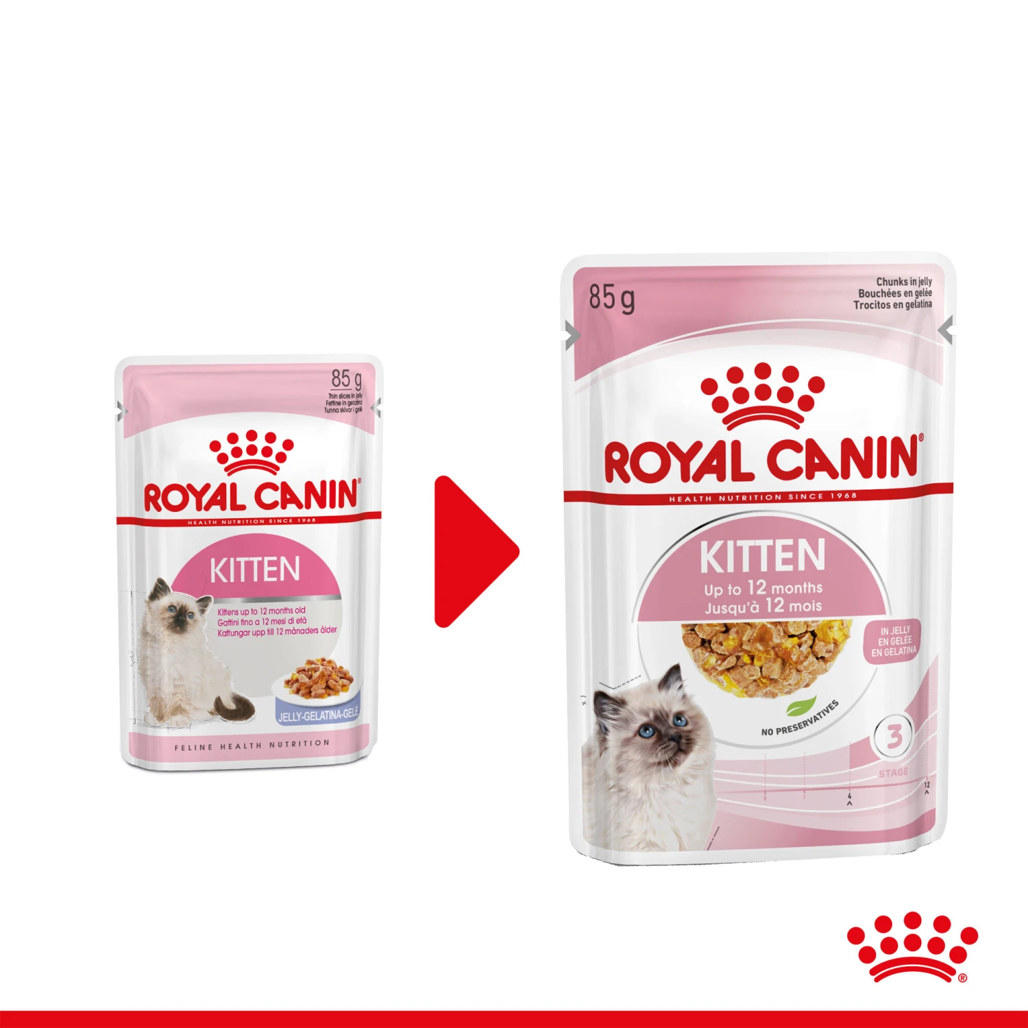 Royal Canin Kitten In Jelly - Kattenvoer 3 Royal Canin Kitten In Jelly - Kattenvoer - Afbeelding 3