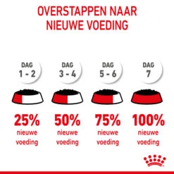 Royal Canin Kitten In Jelly - Kattenvoer 19 Royal Canin Kitten In Jelly - Kattenvoer -Premium Dierenwinkel royal canin kitten in jelly kattenvoer 207134 2000 none