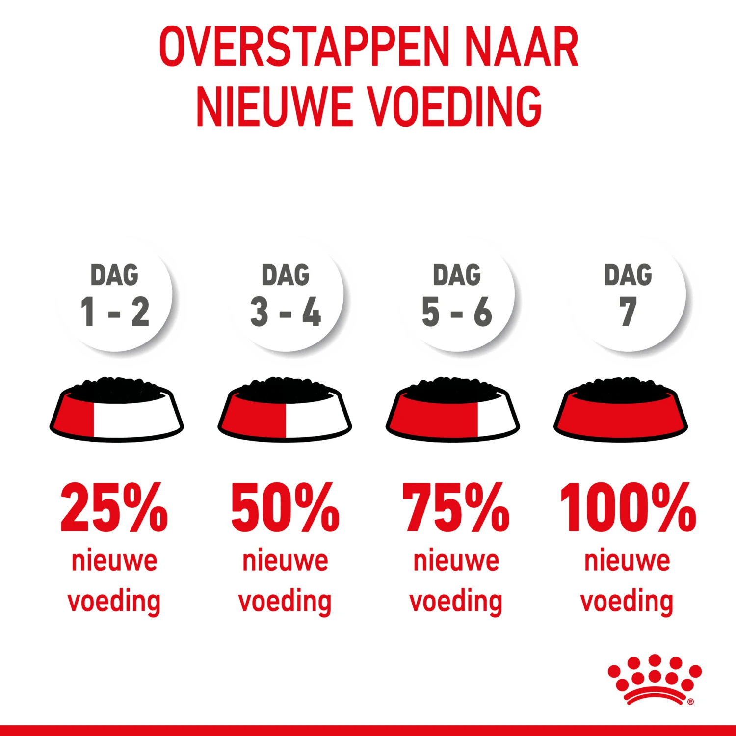 Royal Canin Kitten In Jelly - Kattenvoer 7 Royal Canin Kitten In Jelly - Kattenvoer - Afbeelding 7