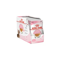 Royal Canin Kitten Sterilised In Jelly - Maaltijdzakje -Premium Dierenwinkel royal canin kitten sterilised in jelly kattenvoer 201959 1500 none