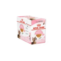 Royal Canin Kitten Sterilised In Jelly - Maaltijdzakje -Premium Dierenwinkel royal canin kitten sterilised in jelly kattenvoer 201965 1500 none