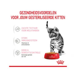 Royal Canin Kitten Sterilised In Jelly - Maaltijdzakje -Premium Dierenwinkel royal canin kitten sterilised in jelly maaltijdzakje 207209 2000 none