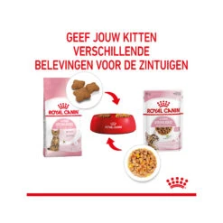 Royal Canin Kitten Sterilised In Jelly - Maaltijdzakje -Premium Dierenwinkel royal canin kitten sterilised in jelly maaltijdzakje 207212 2000 none