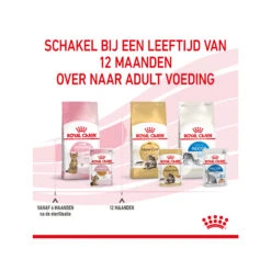 Royal Canin Kitten Sterilised In Jelly - Maaltijdzakje -Premium Dierenwinkel royal canin kitten sterilised in jelly maaltijdzakje 207221 2000 none