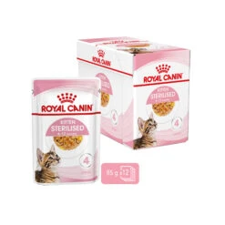 Royal Canin Kitten Sterilised In Jelly - Maaltijdzakje -Premium Dierenwinkel royal canin kitten sterilised in jelly maaltijdzakje 207230 2000 none