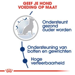Royal Canin Maxi Ageing 8+ - Hondenvoer 15 Royal Canin Maxi Ageing 8+ - Hondenvoer -Premium Dierenwinkel royal canin maxi ageing 8 hondenvoer 128711 1000 none