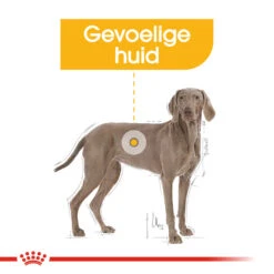Royal Canin Maxi Dermacomfort - Hondenvoer -Premium Dierenwinkel royal canin maxi dermacomfort hondenvoer 132428 1000 none