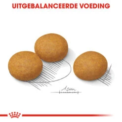 Royal Canin Maxi Dermacomfort - Hondenvoer -Premium Dierenwinkel royal canin maxi dermacomfort hondenvoer 132446 1000 none