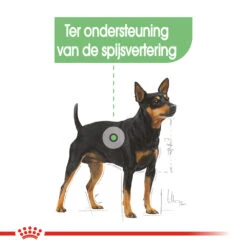 Royal Canin Mini Digestive Care - Hondenvoer 18 Royal Canin Mini Digestive Care - Hondenvoer -Premium Dierenwinkel royal canin mini digestive care hondenvoer 133046 1000 none