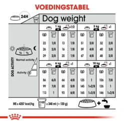 Royal Canin Mini Digestive Care - Hondenvoer 24 Royal Canin Mini Digestive Care - Hondenvoer -Premium Dierenwinkel royal canin mini digestive care hondenvoer 133082 1000 none