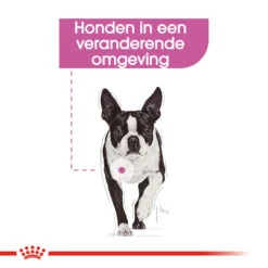 Royal Canin Relax Care Wet - Hondenvoer -Premium Dierenwinkel royal canin relax care wet hondenvoer 131372 1000 none