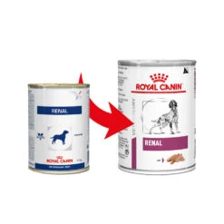 Royal Canin Renal Hond - Blik -Premium Dierenwinkel royal canin renal hond 164548 1000 none