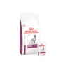 Royal Canin Renal Hond