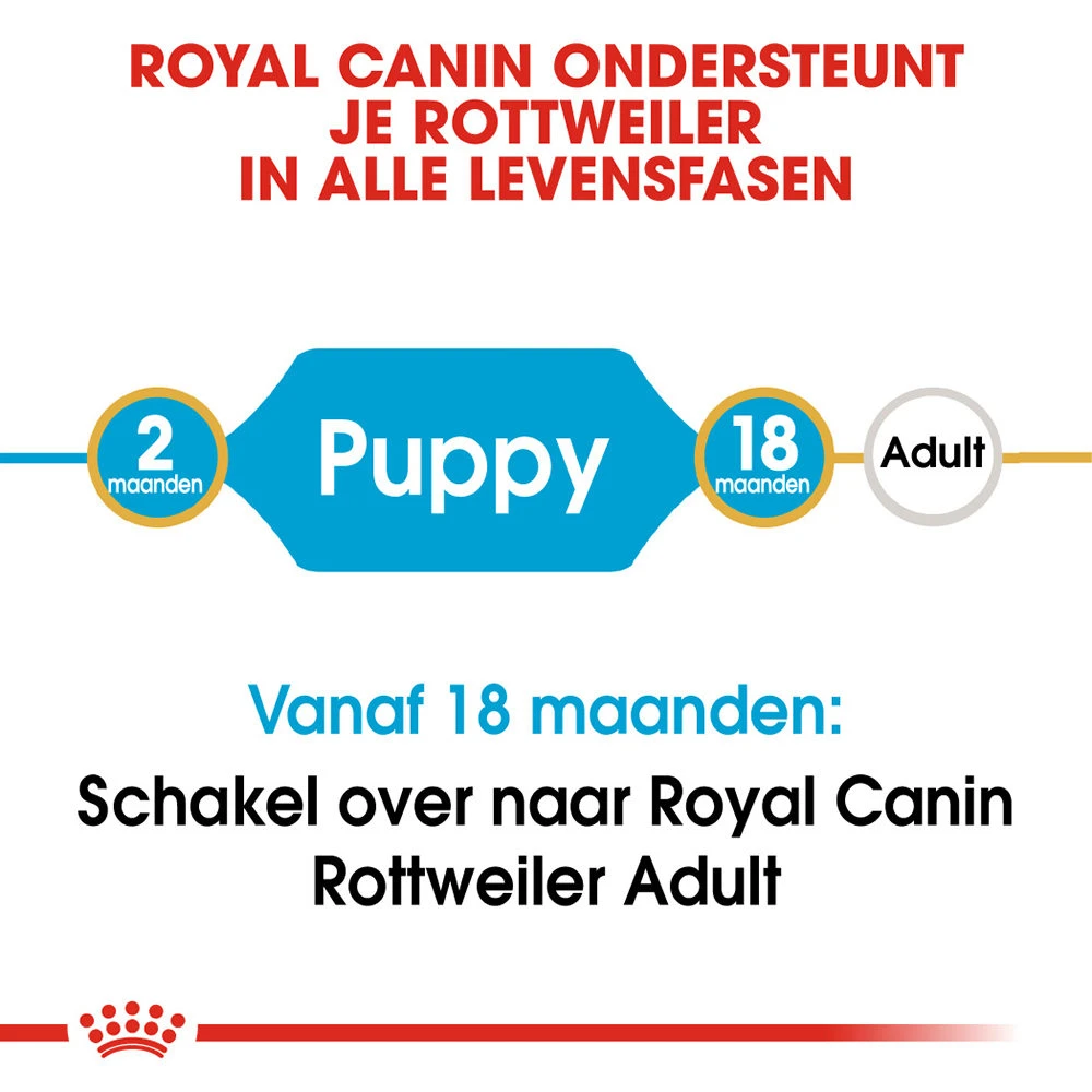 Royal Canin Rottweiler Puppy - Hondenvoer 7 Royal Canin Rottweiler Puppy - Hondenvoer - Afbeelding 7