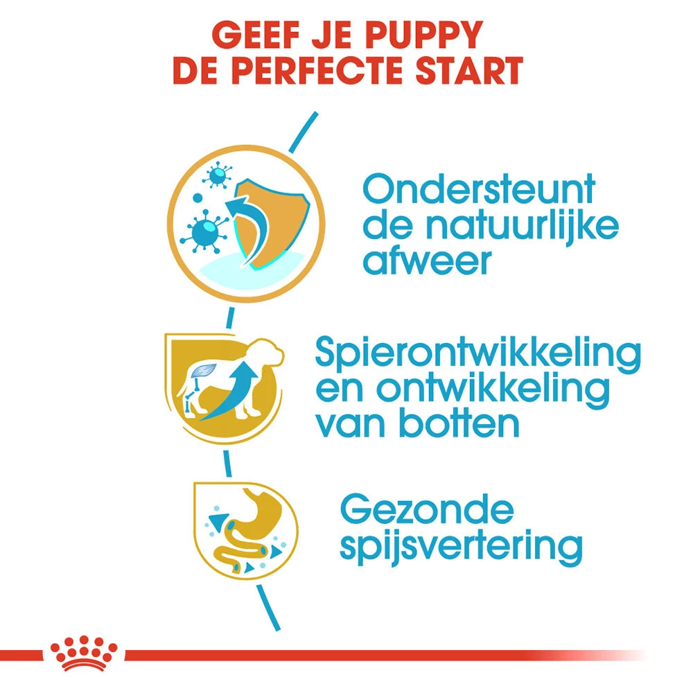 Royal Canin Rottweiler Puppy - Hondenvoer 4 Royal Canin Rottweiler Puppy - Hondenvoer - Afbeelding 4