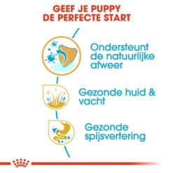 Royal Canin Shih Tzu Puppy - Hondenvoer -Premium Dierenwinkel royal canin shih tzu junior hondenvoer 140408 1000 none