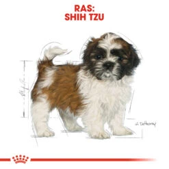 Royal Canin Shih Tzu Puppy - Hondenvoer -Premium Dierenwinkel royal canin shih tzu junior hondenvoer 140417 1000 none