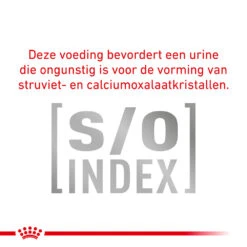 Royal Canin Skin & Coat Wet -Premium Dierenwinkel royal canin skin coat wet 153640 1000 none