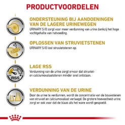 Royal Canin Skin & Coat Wet -Premium Dierenwinkel royal canin skin coat wet 153649 1000 none