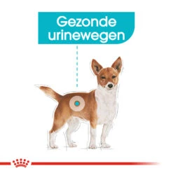 Royal Canin Urinary Care Wet - Hondenvoer 13 Royal Canin Urinary Care Wet - Hondenvoer -Premium Dierenwinkel royal canin urinary care wet hondenvoer 131930 1000 none