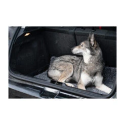 Royal Dry Doormat -Premium Dierenwinkel royal dry doormat 187417 2000 none