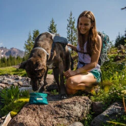 Ruffwear Flat Out Dog Collar - Alpenglow Burst 9 Ruffwear Flat Out Dog Collar - Alpenglow Burst -Premium Dierenwinkel ruffwear flat out dog collar alpenglow burst 204812 0500 none