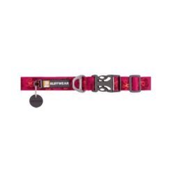 Ruffwear Flat Out Dog Collar - Alpenglow Burst 8 Ruffwear Flat Out Dog Collar - Alpenglow Burst -Premium Dierenwinkel ruffwear flat out dog collar alpenglow burst 204824 0500 none