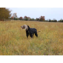 RukkaPets Protect Overall Zwart -Premium Dierenwinkel rukkapets protect overall zwart 216401 2000 none