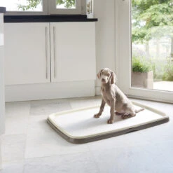 Savic Puppy Trainer + Pads -Premium Dierenwinkel savic puppy trainer pads 163498 2000 none