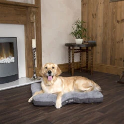 Boneguard Rawhide Bones 29 Boneguard Rawhide Bones -Premium Dierenwinkel scruffs cosy mattress 209366 1500 none