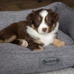 Scruffs Manhattan Box Bed 23 Scruffs Manhattan Box Bed -Premium Dierenwinkel scruffs manhattan box bed 209513 1500 none 1