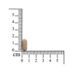 Sensipharm Inconti Stop Hond 7 Sensipharm Inconti Stop Hond -Premium Dierenwinkel sensipharm inconti stop hond 174532 1000 none